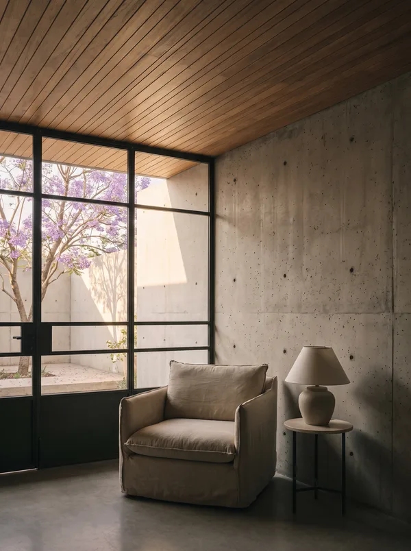 Interior de concreto aparente y plafón de madera, con un sillón junto a un ventanal que da a un patio con jacaranda